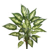 Vickerman FB172101 22" Artificial Green And White Dieffenbachia Exotica Bush.