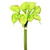 Vickerman FD170302 14'' Artificial Green Calla Lily. Eight Stems Per Pack.