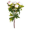 Vickerman FD170401 23" Artificial Cream And Pink Peony Bush.