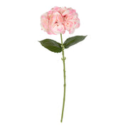 Vickerman FD180179 18