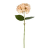 Vickerman FD180180 18" Artificial Beige Hydrangea Spray.  There Are 4 Pieces Per Pack.