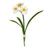 Vickerman FD190301 13‘’ Artificial Cream Narcissus Spray. Includes 3 Sprays Per Pack.
