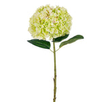 Vickerman FD220102 30" Apple Green Large Artificial Hydrangea With Leaves On Stem.