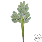 Vickerman FE170301 7