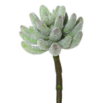 Vickerman FE170501 6" Artificial Green And Red Crassula Pick Set Of 3