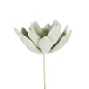 Vickerman FE170601-6 4" Artificial Green And White Echeveria Pick 6 Per Bag