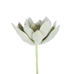 Vickerman FE170601-6 4" Artificial Green And White Echeveria Pick 6 Per Bag