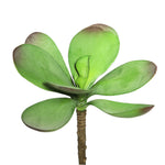 Vickerman FE171201 6.5" Artificial Green And Red Kalanchoe Pick Set Of 3