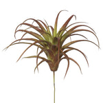 Vickerman FE171701 6.5" Artificial Green And Red Tillandsia Pick Set Of 3