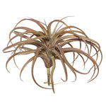 Vickerman FE172001 10.5" Artificial Red Tillandsia Pick.