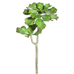 Vickerman FE172901 20" Artificial Green Aquarius Echeveria Stem.