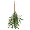 Vickerman FE220510 16" Green Artificial Mistletoe With Rope Hanger 4 Per Bag.
