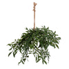 Vickerman FE221518 18" Green Artificial Mistletoe With Rope Hanger 2 Per Bag.