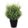 Vickerman FE222911 11" Green Artificial Senecio Cineraria In Plastic Pot.