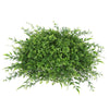 Vickerman FF170602 12" Artificial Green Mixed Greenery Half Ball.