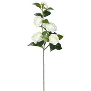 Vickerman FH170101 29