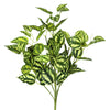 Vickerman FH170201-3 17" Artificial Green And White Peperomia Bush 3 Pack