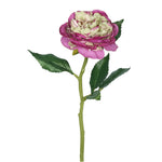 Vickerman FH170302 13" Artificial Purple Peony Rose Stem 6 Per Bag