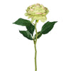 Vickerman FH170303 13" Artificial Green And Pink Peony Rose Stem 6 Per Bag