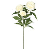 Vickerman FH170401 27" Artificial Cream Rose Spray. Includes 3 Sprays Per Pack.