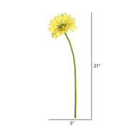 Vickerman FH170703 21
