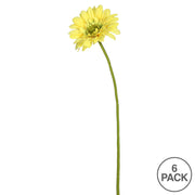Vickerman FH170703 21