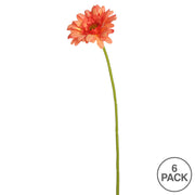 Vickerman FH170704 21