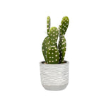 Vickerman FH181401 9.5" Artificial Green Cactus Plant.