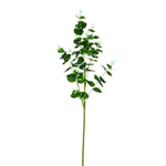 Vickerman FH190514 36" Artificial Gray/Green Money Leaf Spray.