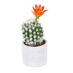Vickerman FH191809 9" Artificial Green Cactus In Cement Pot Pack Of 2