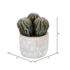 Vickerman FH191909 9" Artificial Green Cactus In Cement Pot.