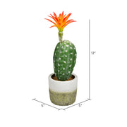 Vickerman FH192601 12