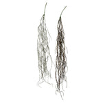 Vickerman FI190675 37" Artificial Brown Trailing Succulent Pack Of 2