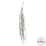 Vickerman FI190687 37