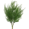Vickerman FK170001 19.5" Artificial Green Asparagus Bush.
