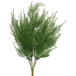 Vickerman FK170001 19.5" Artificial Green Asparagus Bush.