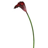 Vickerman FK171401 28" Artificial Burgundy Large Stem Calla Lily