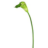 Vickerman FK171406 28" Artificial White And Green Large Stem Calla Lily
