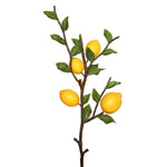 Vickerman FK171702 20" Artificial Green And Yellow Lemon Spray.
