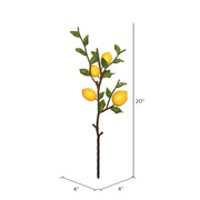Vickerman FK171702 20