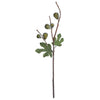 Vickerman FK171902 29" Artificial Green Fig Spray.