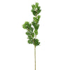 Vickerman FK180301 27" Artificial Green Boxwood Spray. Includes 3 Sprays Per Pack.