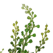Vickerman FK180401 12.5