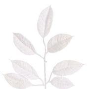 Vickerman FK221324 24