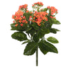 Vickerman FL170102 17.25" Artificial Orange Kalanchoe Bush.