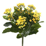 Vickerman FL170103 17.25