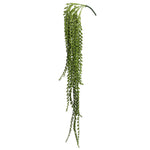 Vickerman FL171301 39" Artificial Green Plastic Senecio Bush.