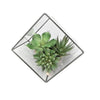 Vickerman FM181001 7.5" Artificial Green Succulents In Geometric Terrarium.