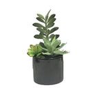 Vickerman FM181201 9" Artificial Green Succulents In Cement Pot.