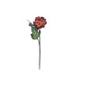 Vickerman FM181803 25" Artificial Orange Peony Stem
